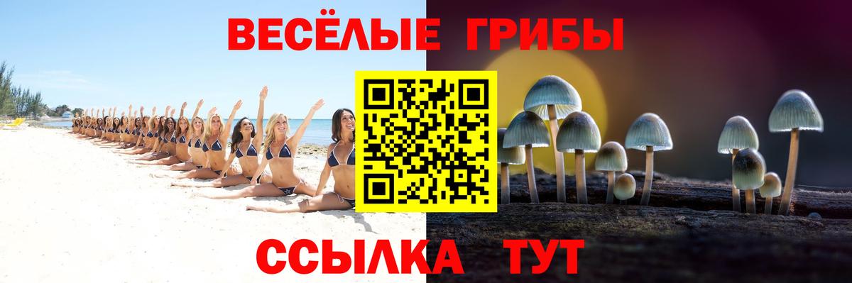 Губаха  Псилоцибиновые грибы Psilocybe  Вход с VPN 